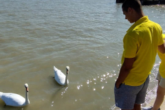 cetvrtaci-galerija-4