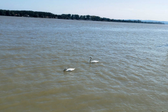 cetvrtaci-galerija-6