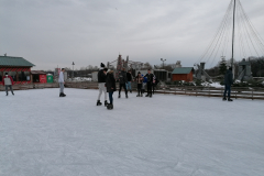 Webp.net-resizeimage