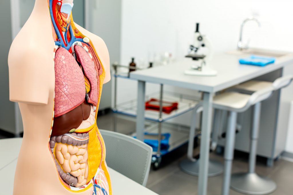 Moderne učionice za bolje učenje