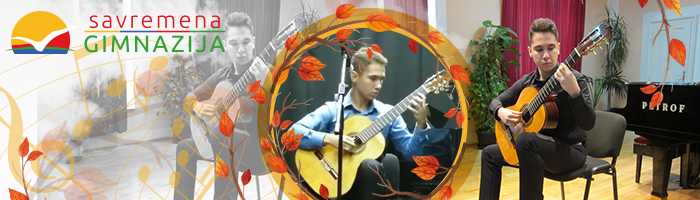 Gitarista Nikola Milosavljević