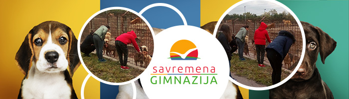 Prihvatiliste_za_pse